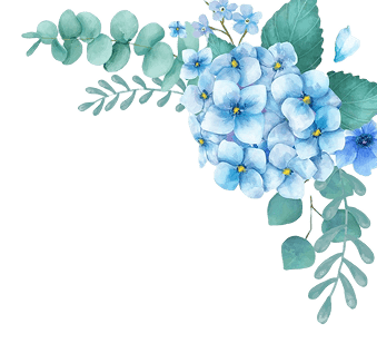 Flower Background